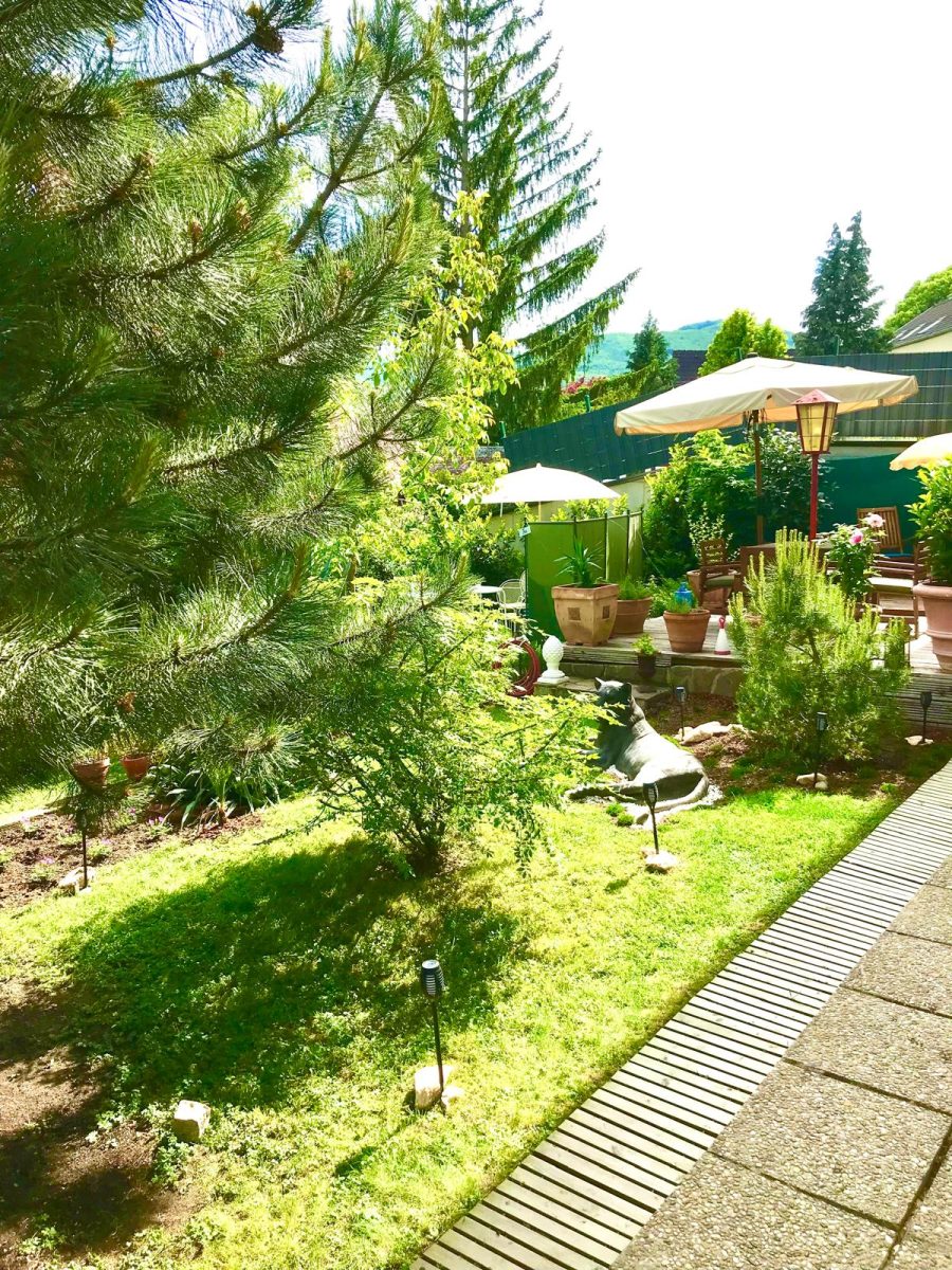 Gepflegter Garten des Hauses Feuchtl mit großer Fichte, Sonnenschirmen und Blick in den Wienerwald